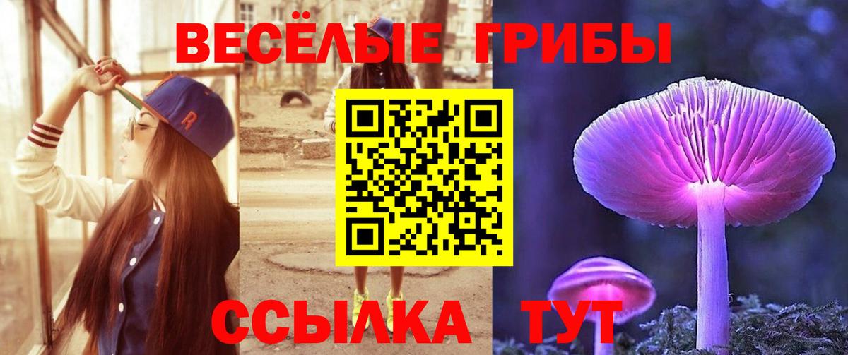 Ликино-Дулёво  Галлюциногенные грибы прущие грибы  Галлюциногенные грибы Cubensis  Вход с VPN 
